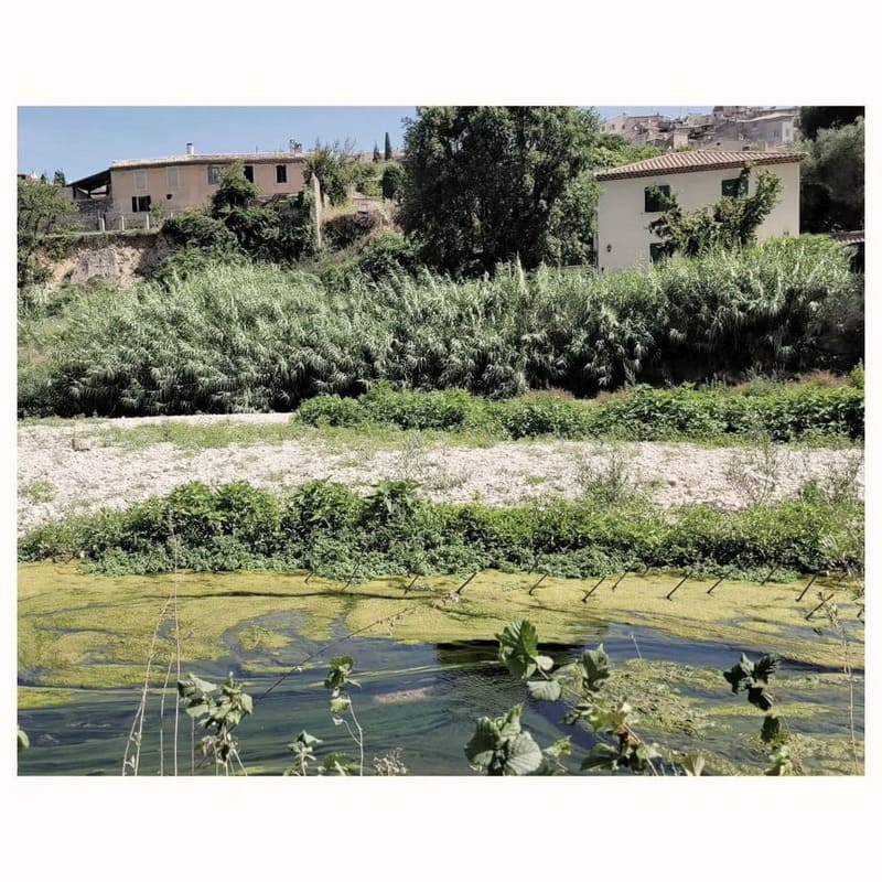 10 Renaturation of Brague torrential river restore riparian woodland