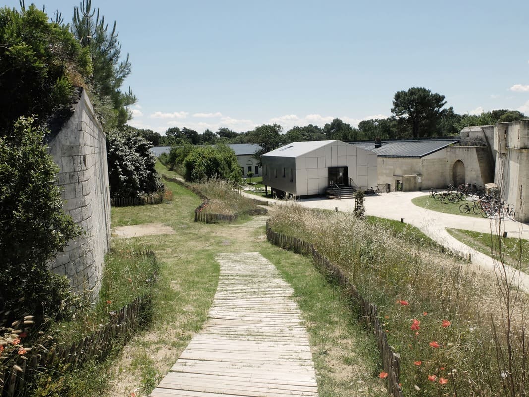 2 Le Fort des Saumonards  remanaging dune habitats